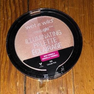 Wet n Wild Illuminating Palette